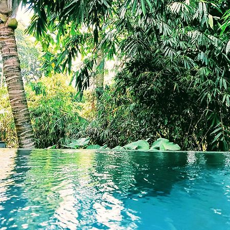 Ngesil Private Joglo & Pool Hotel Ubud  Ngoại thất bức ảnh