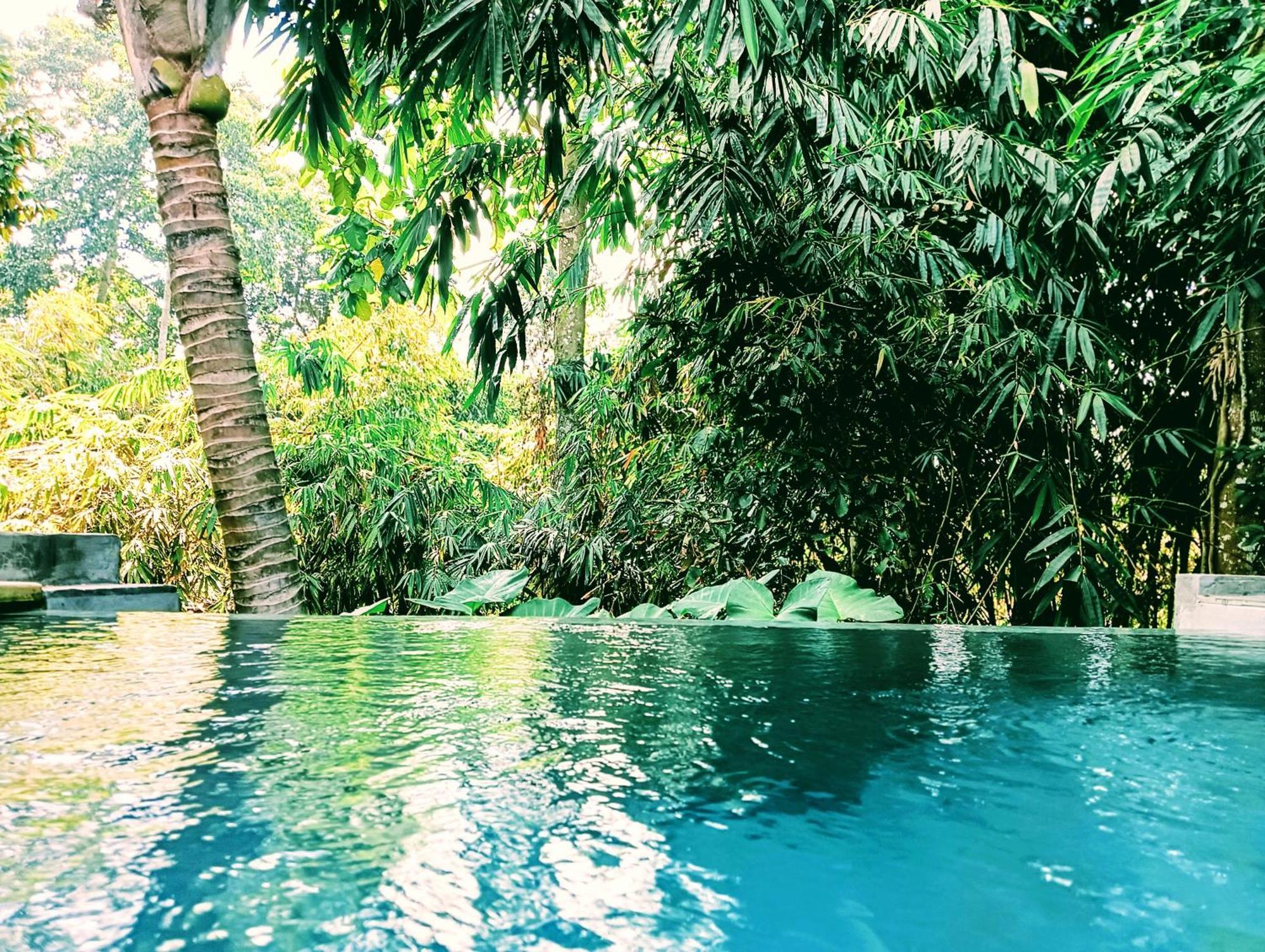 Ngesil Private Joglo & Pool Hotel Ubud  Ngoại thất bức ảnh